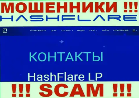 Сведения о юридическом лице мошенников HashFlare