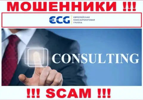 Consulting - это тип деятельности мошеннической конторы EC-Group