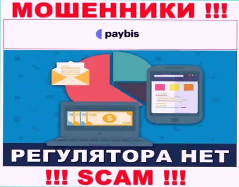 У PayBis Com на web-ресурсе нет информации об регулирующем органе и лицензии компании, а следовательно их вообще нет