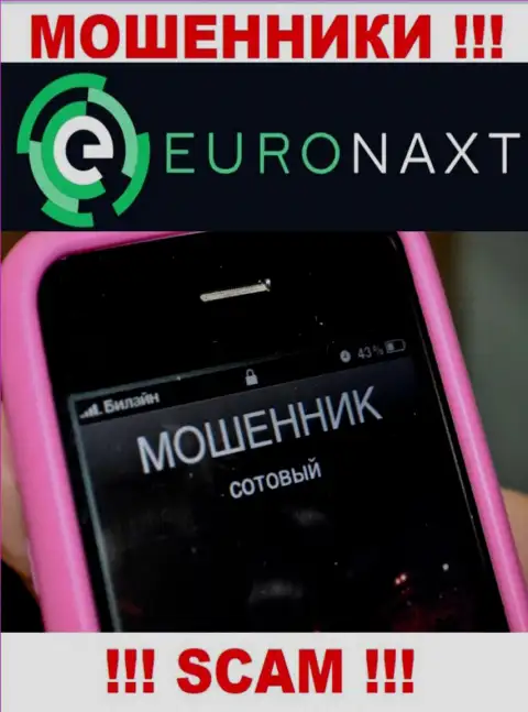 Вас хотят развести на деньги, EuroNax в поиске очередных наивных людей