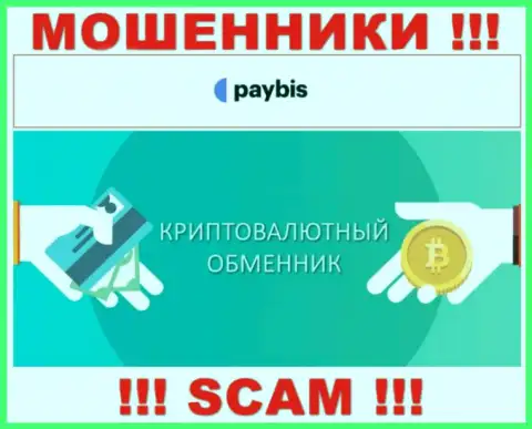 Крипто обменник - это тип деятельности незаконно действующей компании PayBis Com