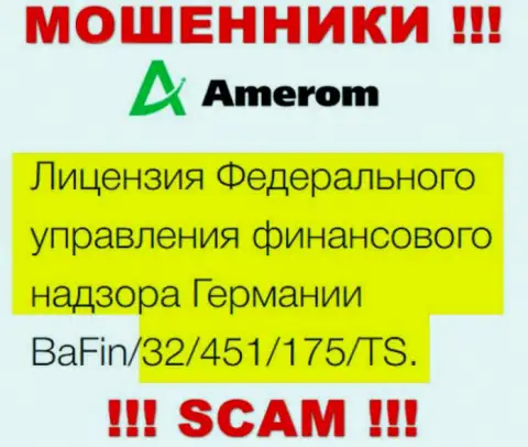 На сайте Amerom De представлена лицензия на осуществление деятельности, но это профессиональные мошенники - не стоит доверять им