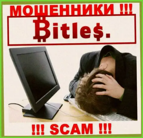 Не угодите в сети к internet-мошенникам Bitles Eu, ведь рискуете остаться без вложенных денег