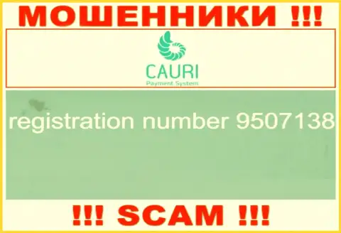 Номер регистрации, принадлежащий противоправно действующей организации Каури - 9507138