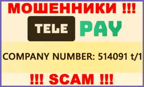 Номер регистрации ТелеПэй, который размещен мошенниками у них на веб-сервисе: 514091 t/1