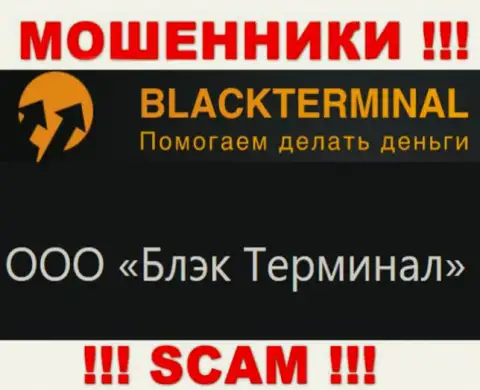 На официальном web-портале Black Terminal отмечено, что юр лицо конторы - ООО Блэк Терминал