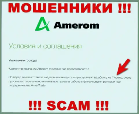 Не доверяйте деньги Amerom, ведь их направление деятельности, Forex, капкан