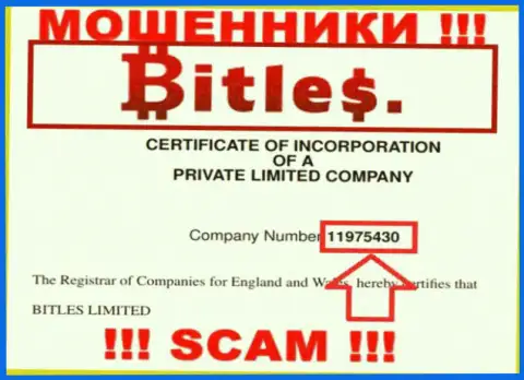 Номер регистрации обманщиков Битлес Лтд, с которыми не советуем работать - 11975430