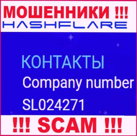 Номер регистрации, под которым зарегистрирована контора ХэшФлэер Ио: SL024271