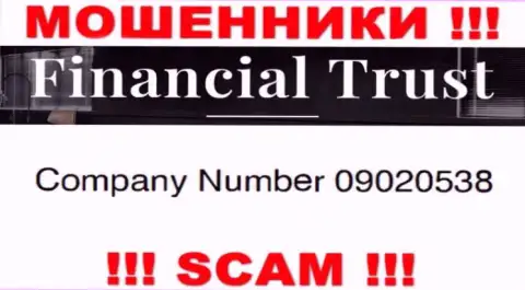 Регистрационный номер мошенников всемирной паутины организации FINANCIAL TRUST INVEST LIМITED: 09020538