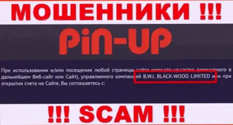 Мошенники Pin-Up Casino принадлежат юридическому лицу - B.W.I. BLACK-WOOD LIMITED