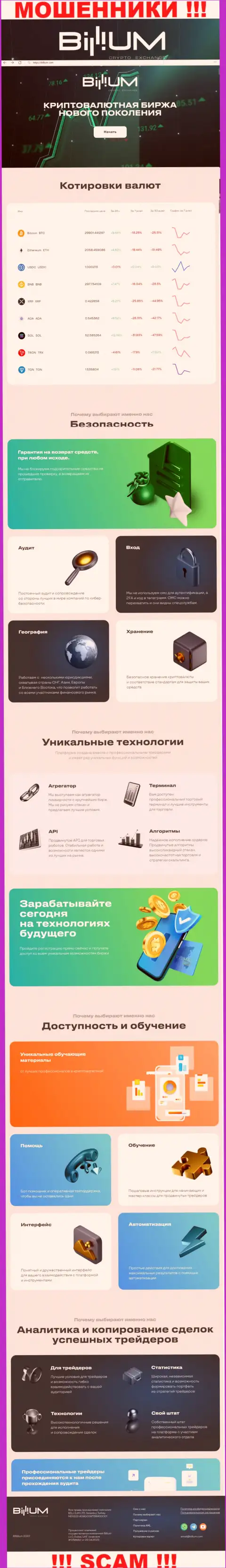Информация об официальном информационном сервисе мошенников Billium Com