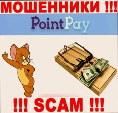 Point Pay - это МОШЕННИКИ, не доверяйте им, если вдруг станут предлагать пополнить депозит