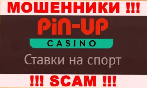 Основная деятельность Пин-Ап Казино - это Casino, будьте очень бдительны, работают противоправно
