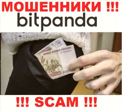 Намерены найти дополнительный доход во всемирной сети интернет с мошенниками Bitpanda Com - это не получится однозначно, обуют