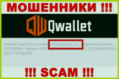 На официальном сайте Q Wallet говорится, что указанной компанией владеет Cryptospace LLC