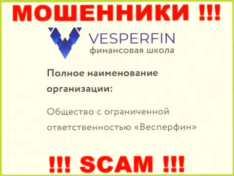 Информация про юридическое лицо мошенников VesperFin - ООО Весперфин, не спасет Вас от их загребущих рук