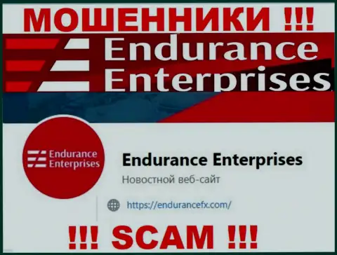 Установить связь с интернет разводилами из конторы EnduranceFX Com Вы сможете, если напишите письмо на их адрес электронной почты